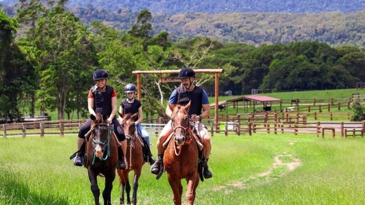 Kuranda House | Kur Cow Farmstay