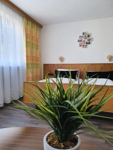 Safferstetten Hotel | Kurhotel Anders