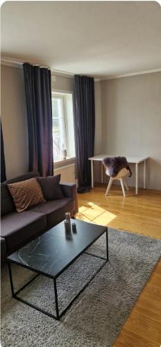 Norrkoping Apartment | Lägenhet i smedby