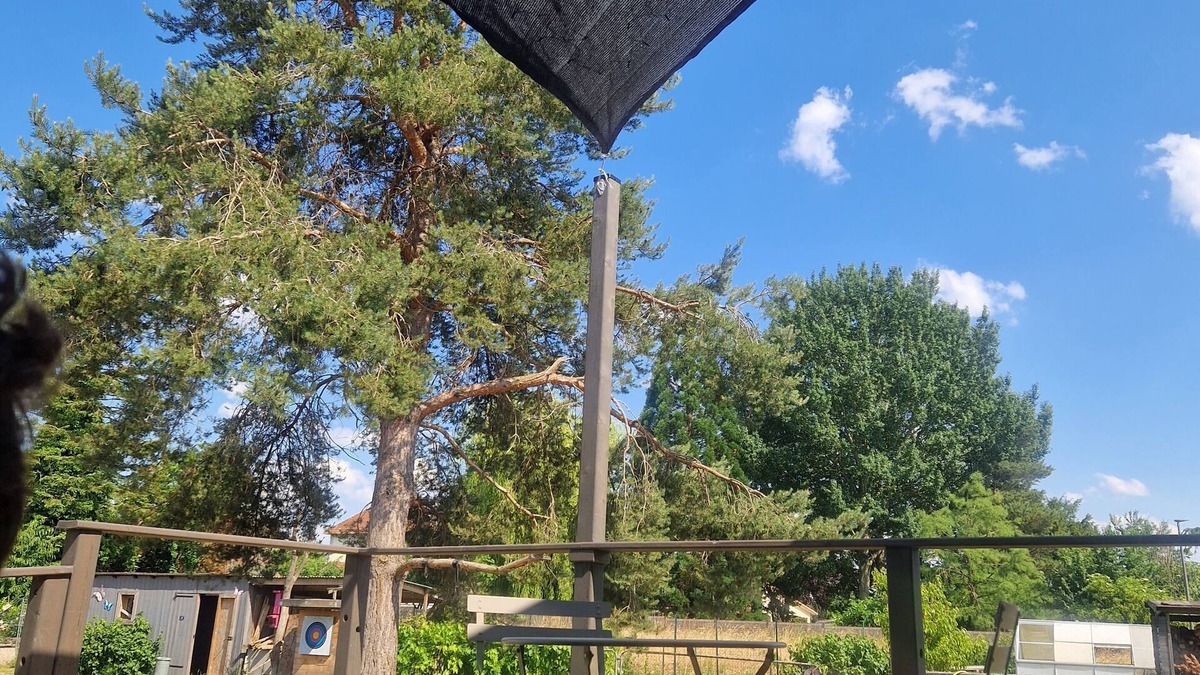 Luneville Bed & Breakfast | L'écolodge de Laéti