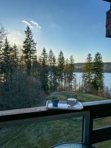 Malbuisson Apartment | L'écrin du Lac St-Point