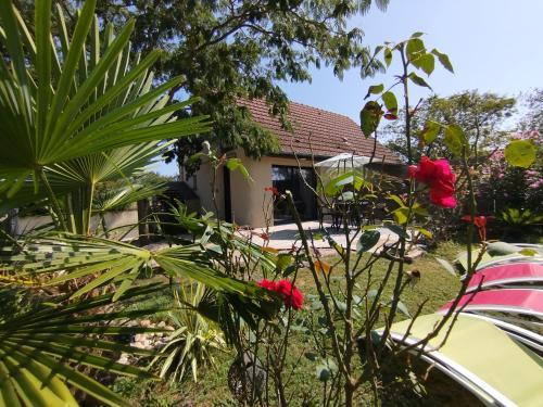 Saint-Maurice-en-Riviere House | L'Albizia Gîte Climatisé St Maurice