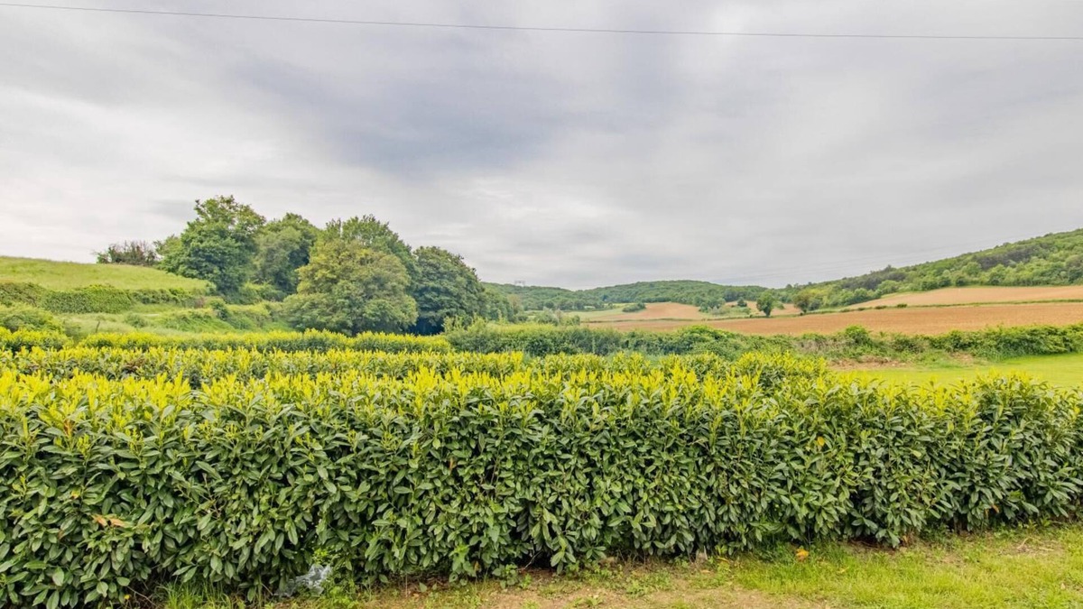 Royer House | l'Annexe d'Anna - ROYER