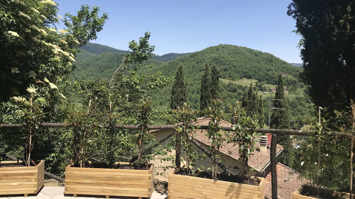 Barberino di Mugello House | L'Antica Dimora di Laura