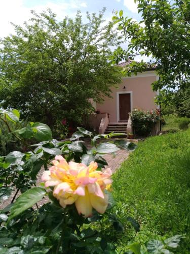 Viggiano Bed & Breakfast | L'Antico Gelso