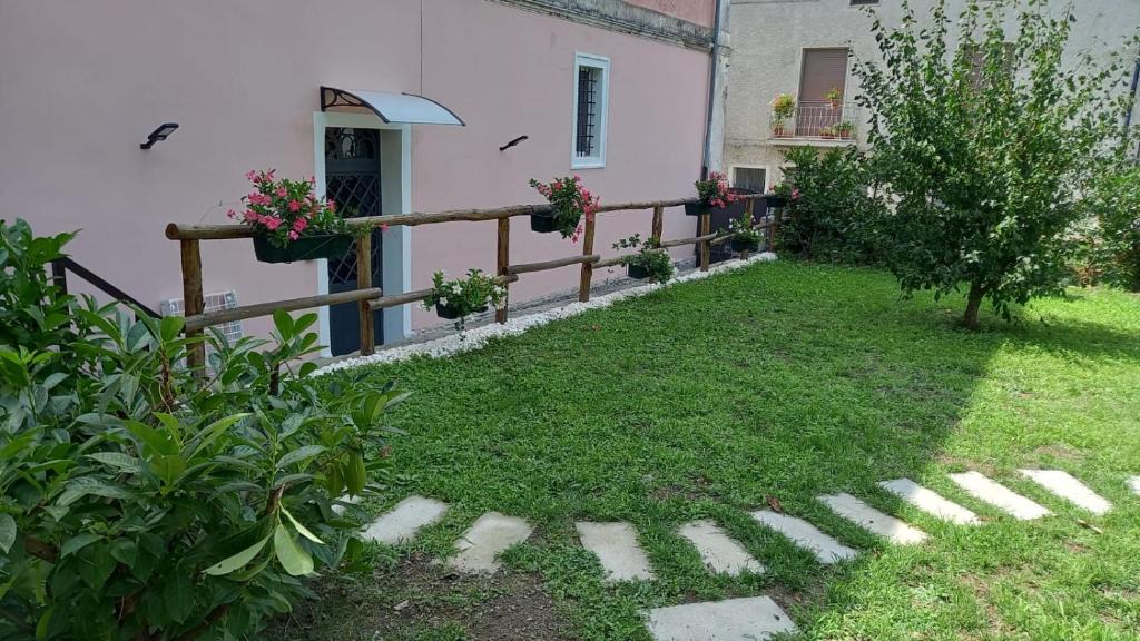 Nemoli House | L' antico nespolo