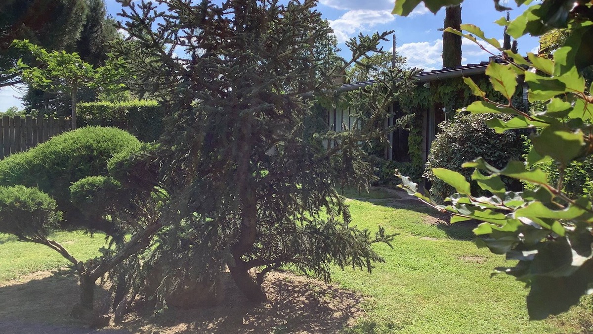 Lorris Cottage | L'Atelier, nature on the horizon