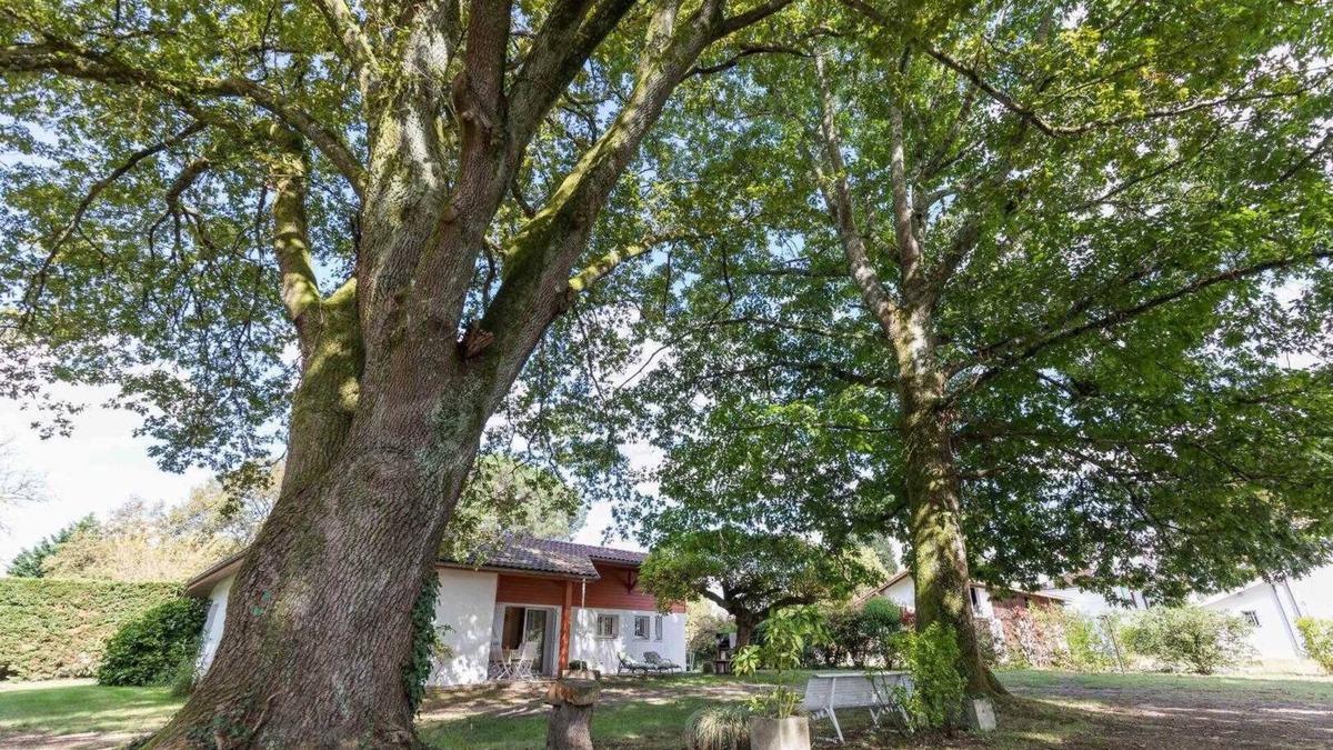 Taller House | L'atelier - Taller - Gîte