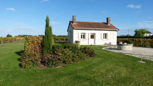 Saint-Georges-sur-Cher House | l'Ecrin au coeur des vignes