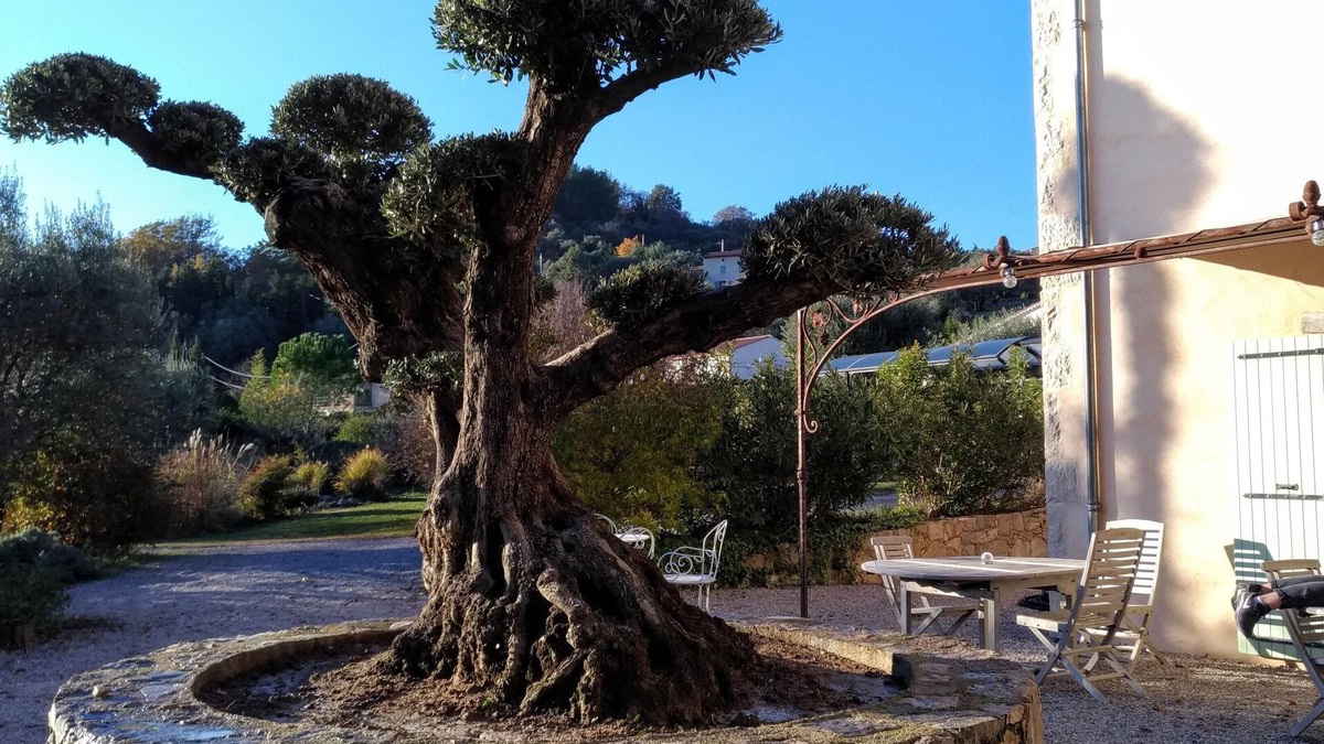Tourrettes Bed & Breakfast | L'escale Provencale