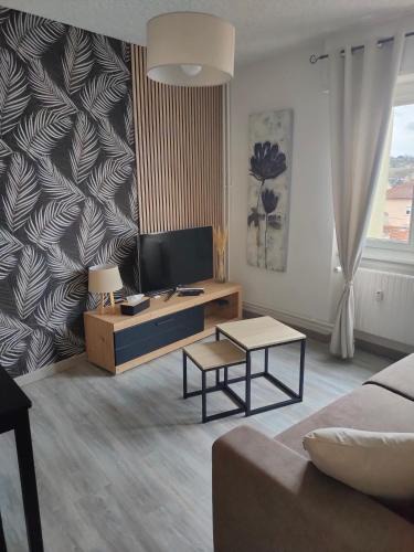 Sarrebourg Apartment | L'Europ'appart : Gare, Center parcs, Parc St Croix