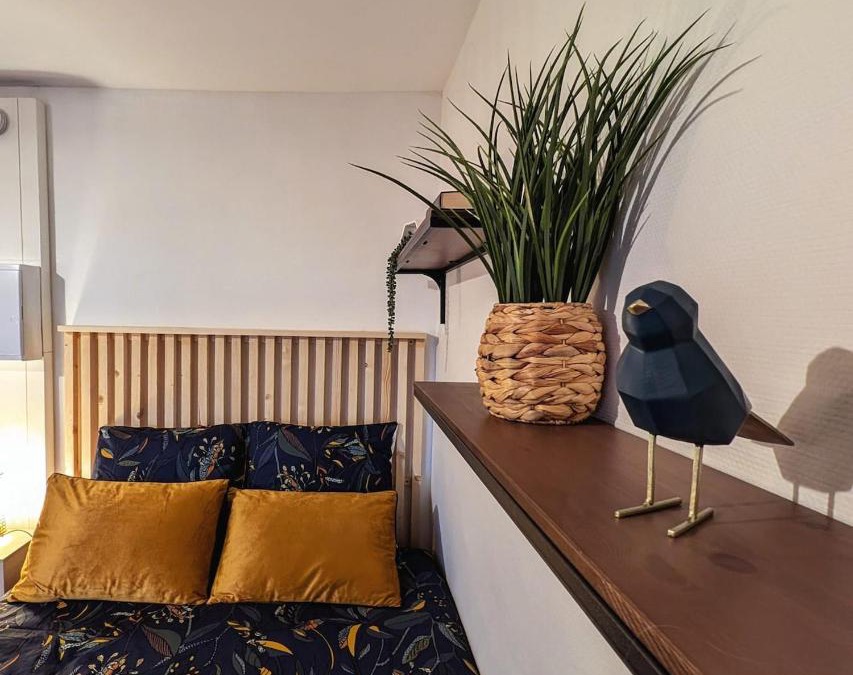 Centre Ville Apartment | L'Exotic - Studio Centre-Ville