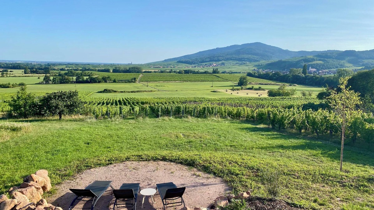 Itterswiller House | L'horizon des vignes, Holiday home on the wine route.