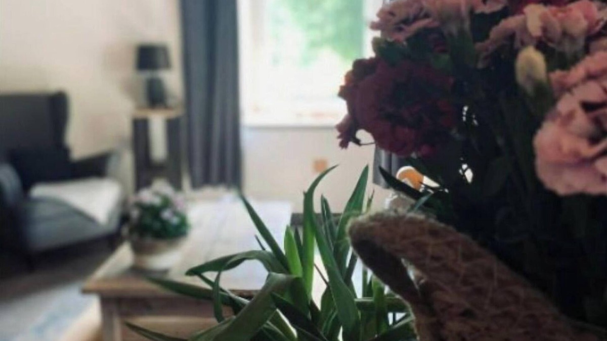Echallon Apartment | L'instant Présent
