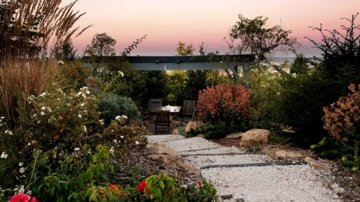 Cernay-les-Reims House | l'Intemporel Maison View on the vineyard