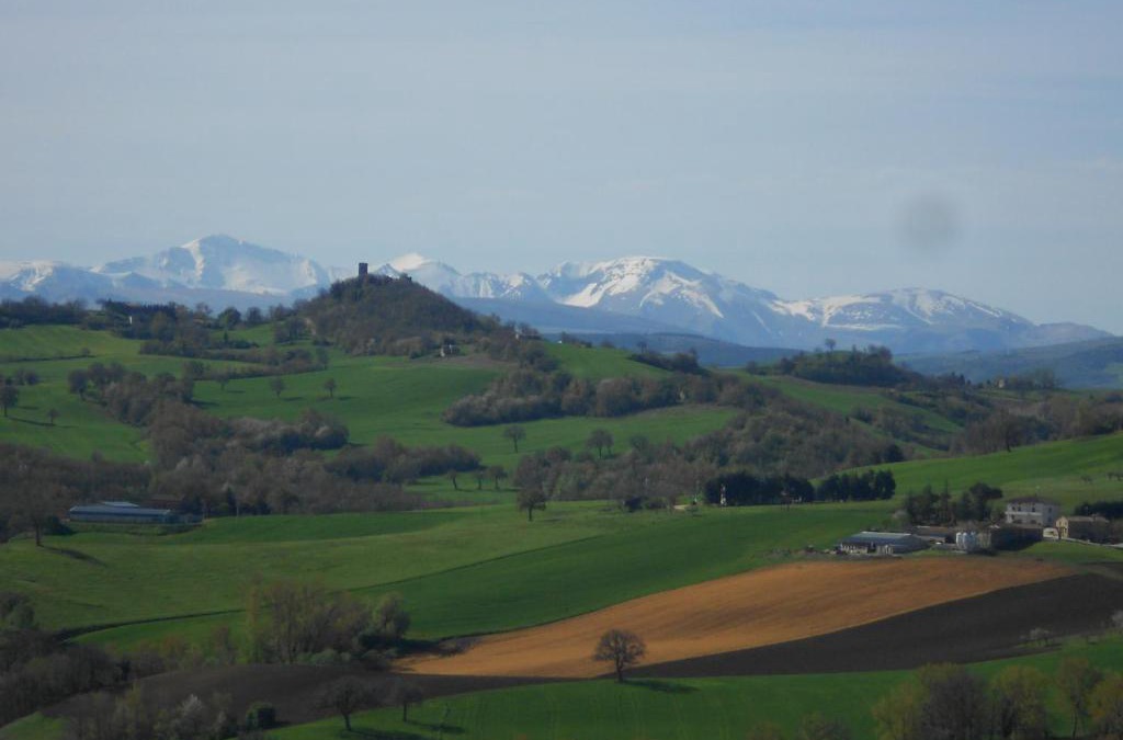 Moscosi House | L'Isola Che Non C'era