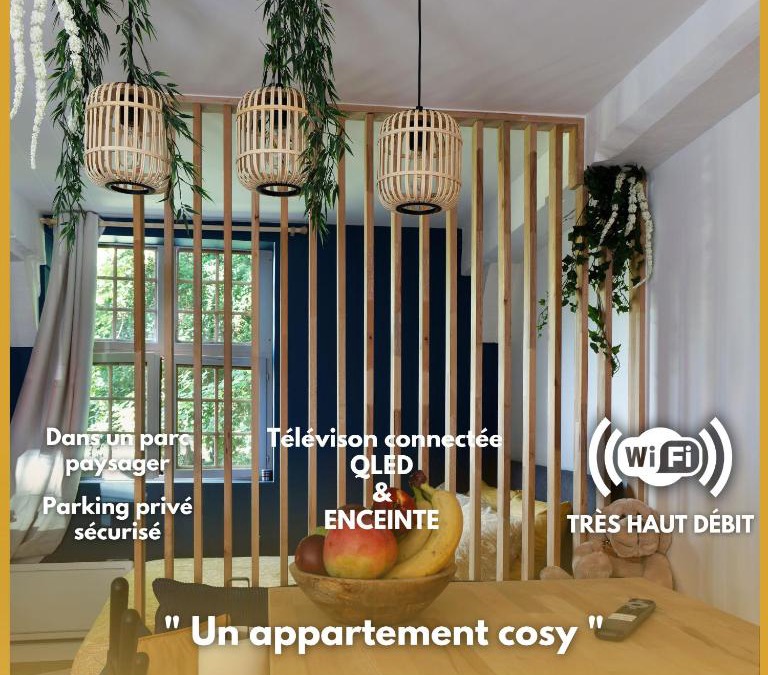 Old Town Apartment | L'Odyssée - parking privé - centre ville