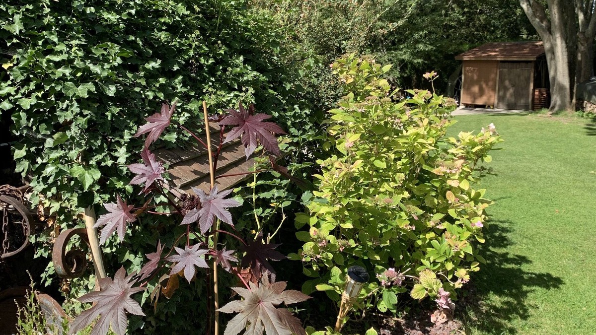 Limetz-Villez Bed & Breakfast | L'Orée de Giverny