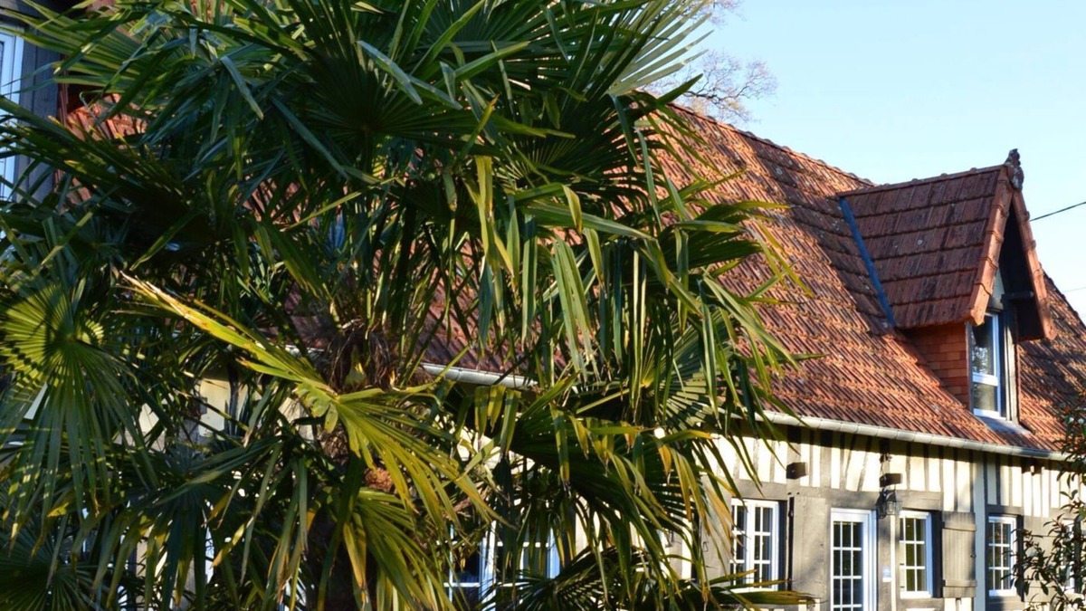 Ouville-la-Riviere Cottage | L'Orée des prés - Gîte de charme* - 4 people - 3 stars
