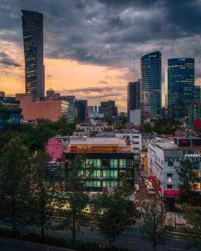Reforma House | L201 New Apt 1 Bdrm 1 Bath Fits 6 AC Rooftop
