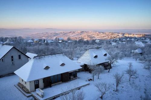 Baia-Sprie Villa | La Șura din Deal