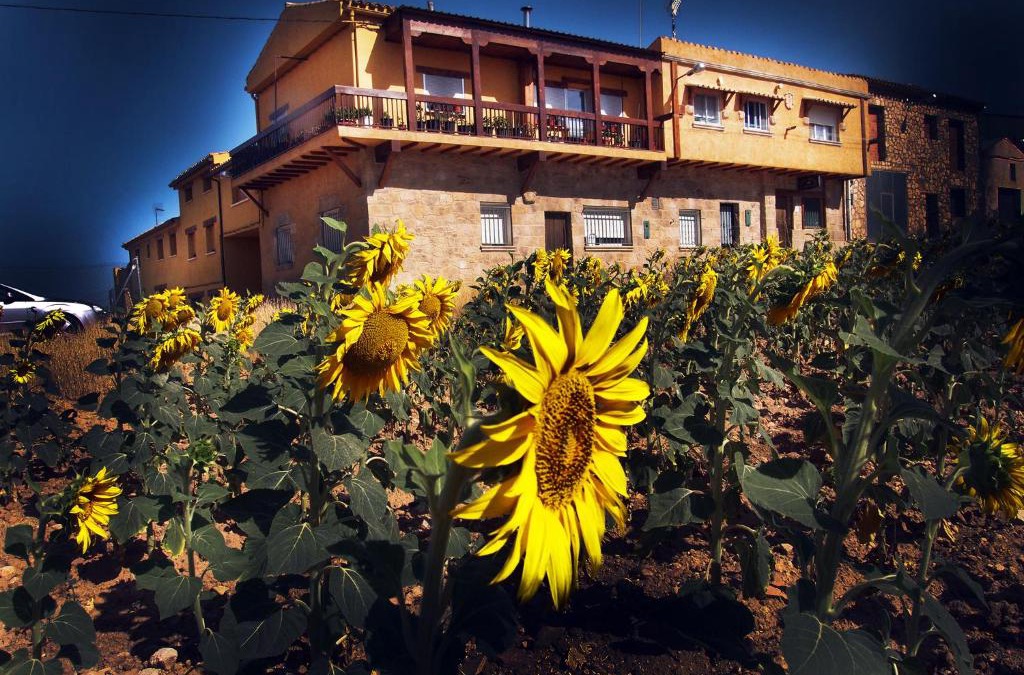 La Melgosa House | La Antigua Vaquería