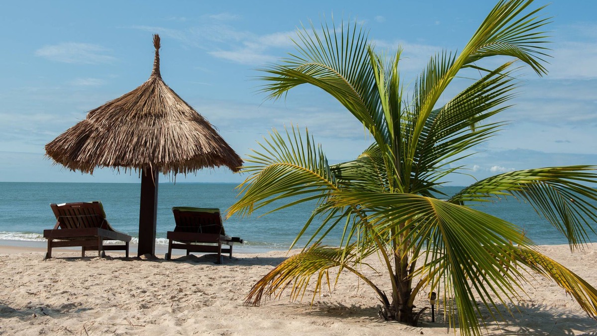 Point Denis Hotel | La Baie des Tortues Luth