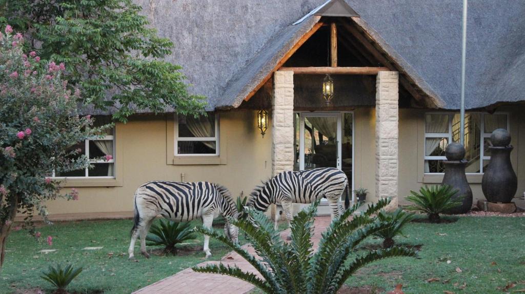 Vaalwater House | La Barune Game Lodge