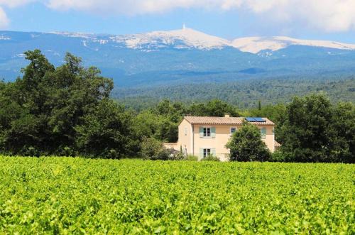Flassan Villa | La Bastide de l'Olivier