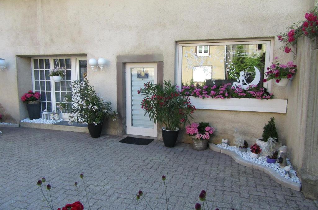 Fenetrange Apartment | La belle endormie - appartement A
