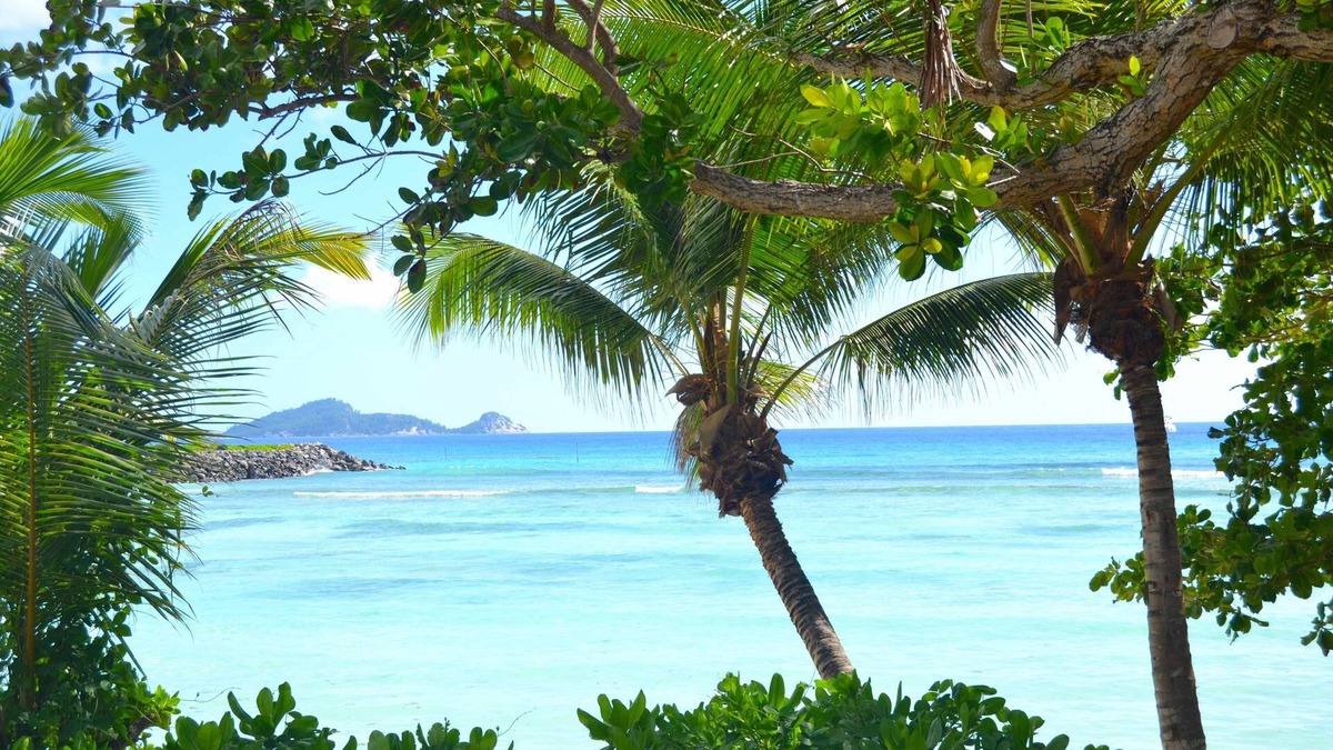 Silhouette Island Cabin | La Belle Tortue