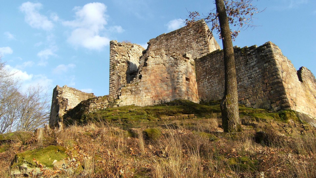 Windstein House | la Bergerie, old barn renovated near hiking trails