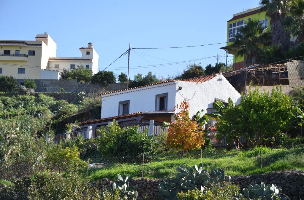 Firgas House | La Berrera