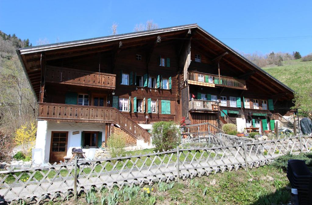 Rossiniere Apartment | La Boutique