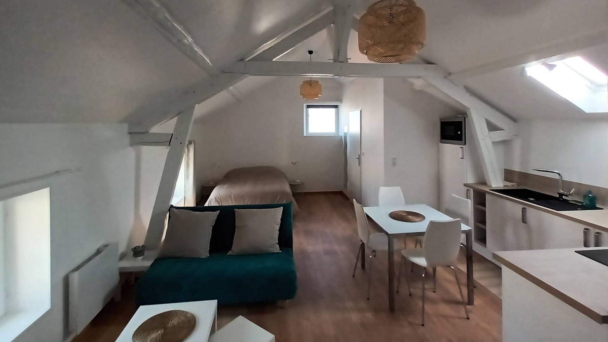 Epernay Apartment | "La Bulle" Completely renovated apartment on the banks of the Marne
