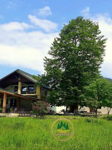 Tasca Ski Chalet | La butuci