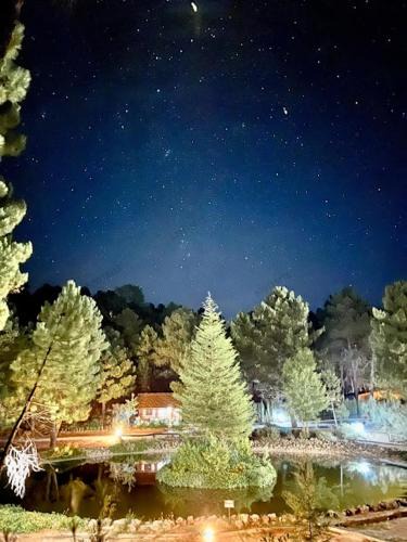 Riopar Ski Chalet | La cabaña del lago en ZAFIRO LAGUNAZO Parque Natural del Río Mundo