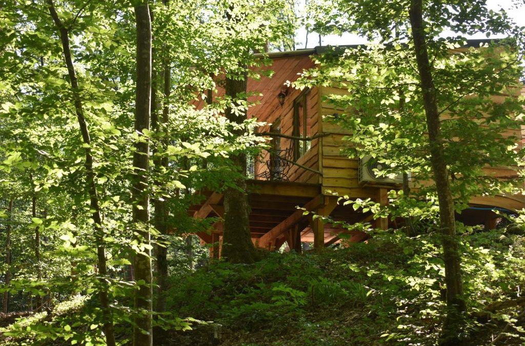 Philippeville Ski Chalet | La cabane aux écureuils