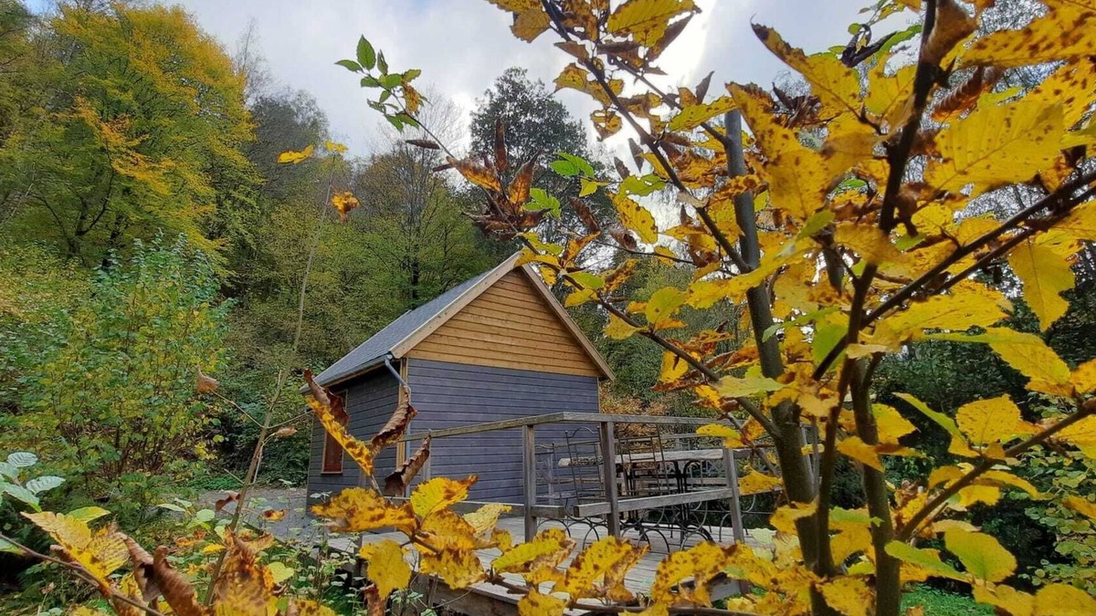 La Roche-en-Ardenne Cabin | La cabane de Léon - Hébergement insolite