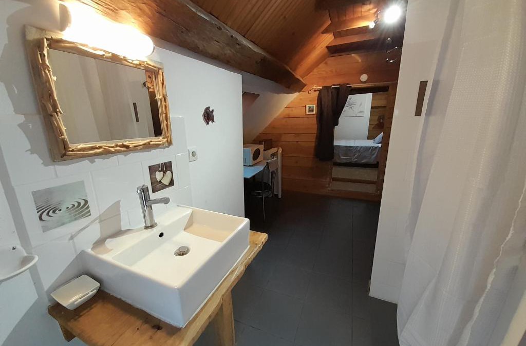 Vatan Apartment | La cabane: Chambre double, salle de bain privée