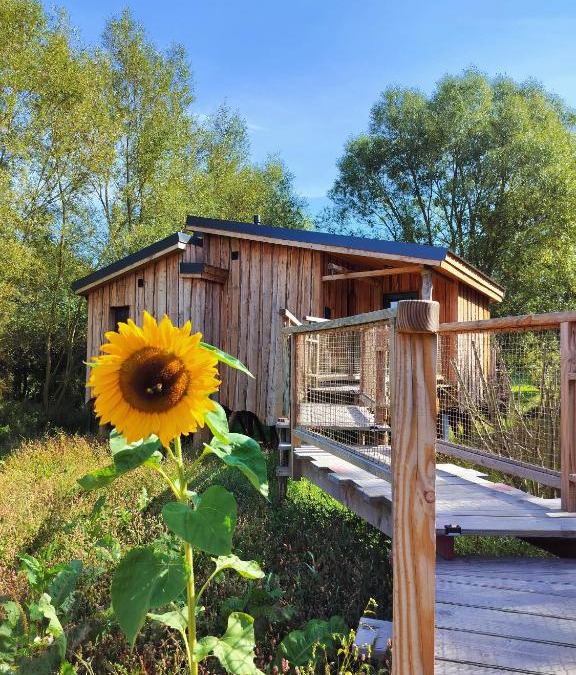 Sainte-Ode Cabin | La Cabane d'Ode