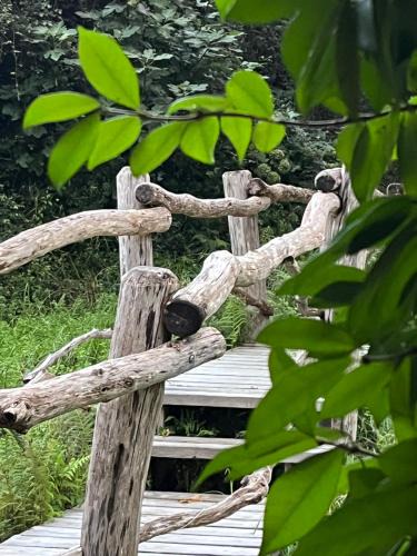 Bassussarry Bed & Breakfast | La Cabane le Cœur de Xanet