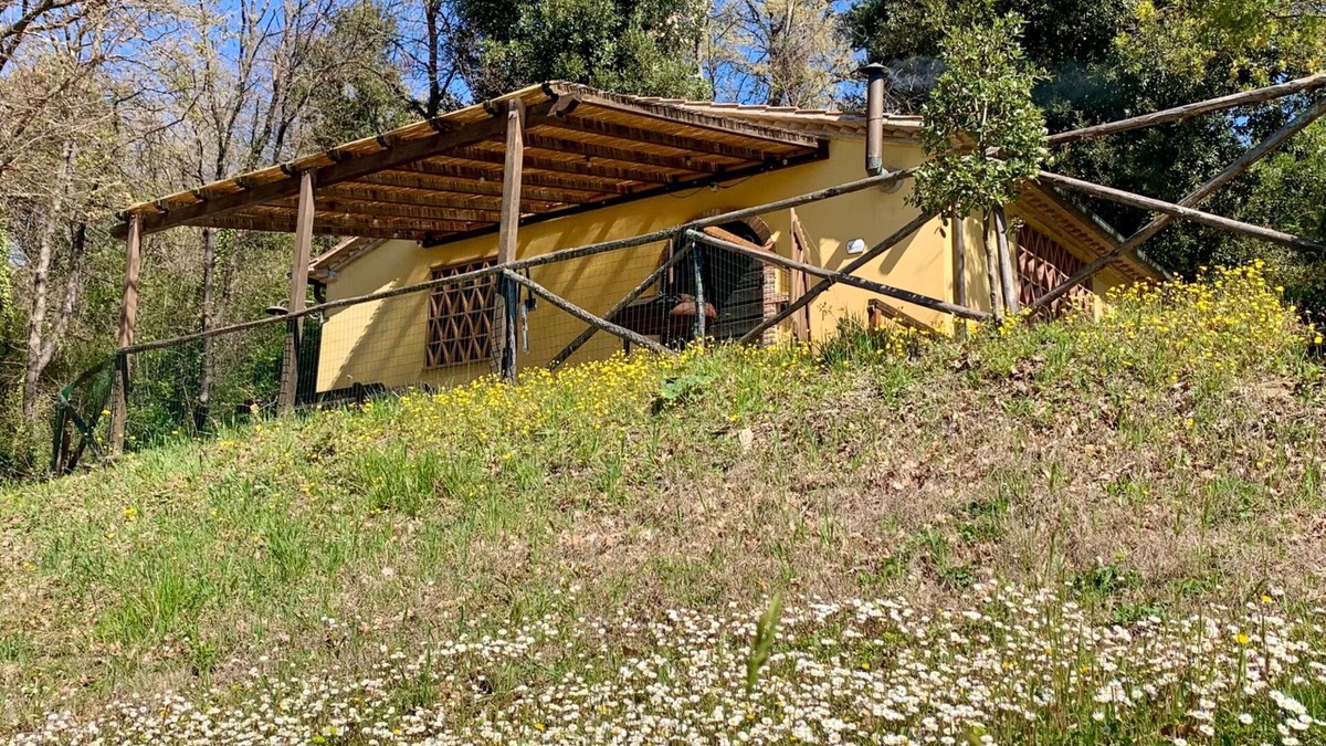 Montescudaio Apartment | La Capinere 2 2