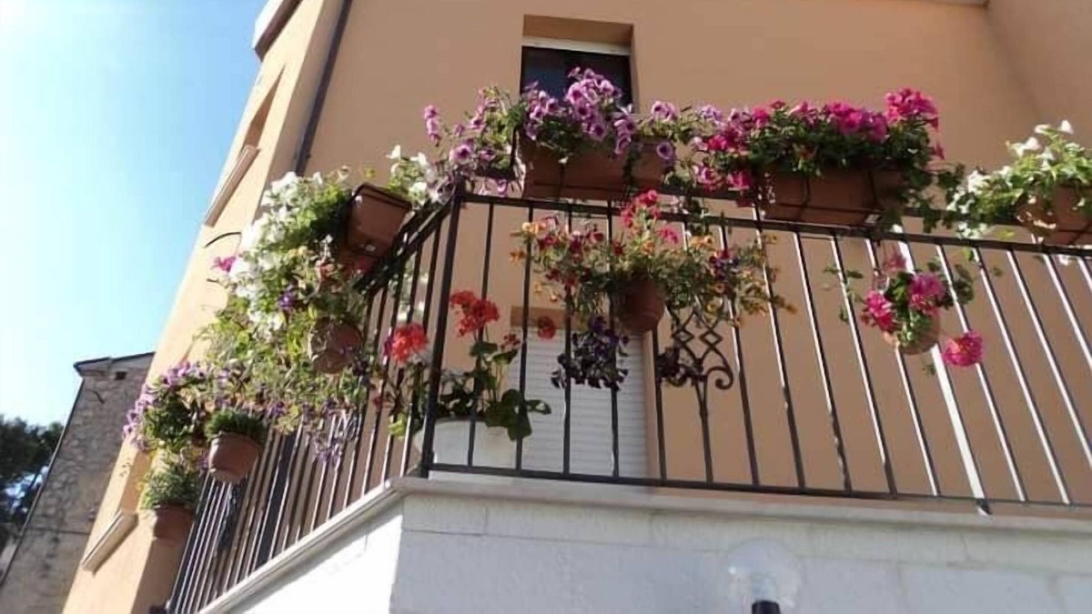 Montecilfone House | la casa dei fiori