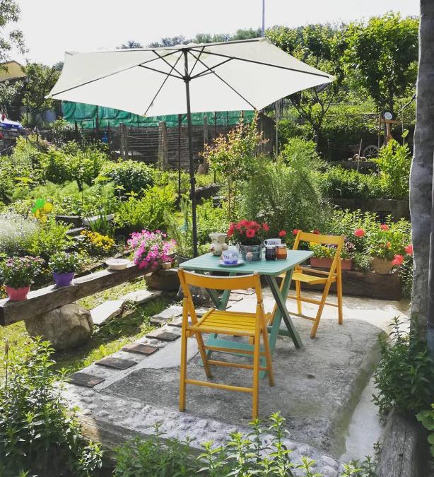 Tarzo House | La casa dell'Olmo