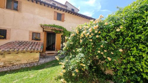 Bovara House | La Casa di LucaPietro Dimora Storica