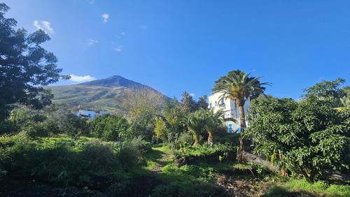Stromboli Apartment | La Casa di Nonna Ida