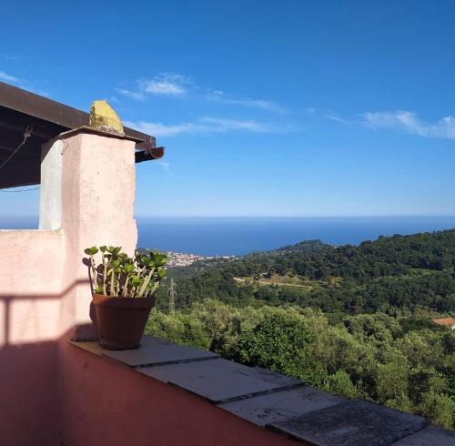 Lingueglietta Apartment | La casa rosa