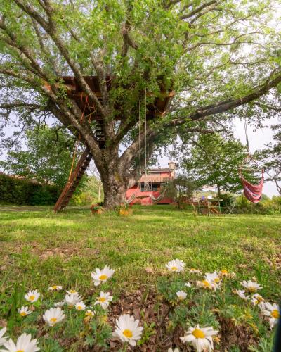 Canale Monterano House | La Casa Rossa nell’Oasi verde