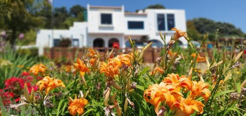 Te Puru Cabin | La Casa Te Puru Lodge
